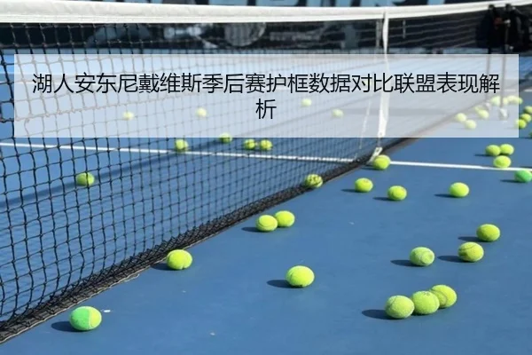 湖人安东尼戴维斯季后赛护框数据对比联盟表现解析