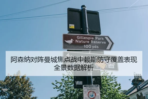 阿森纳对阵曼城焦点战中赖斯防守覆盖表现全景数据解析